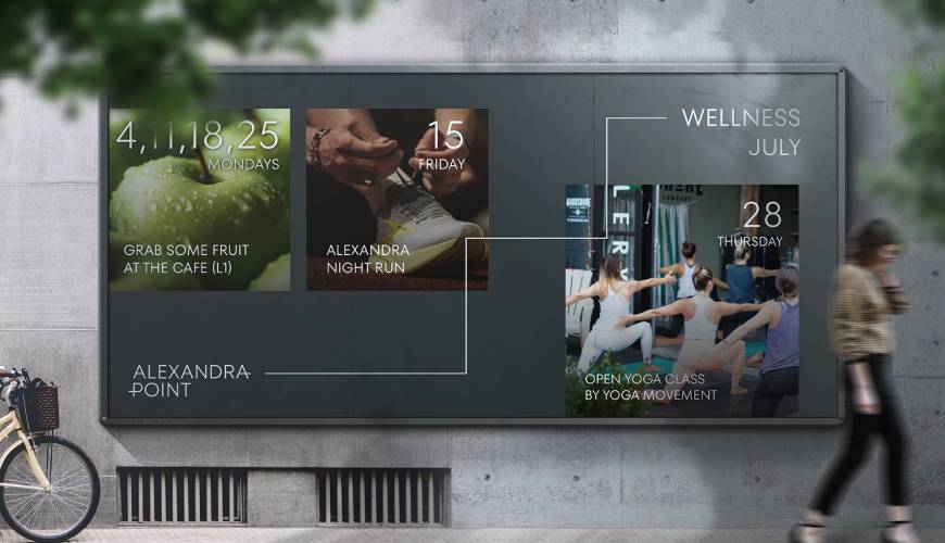 靖西县画册设计公司如何进行品牌审核