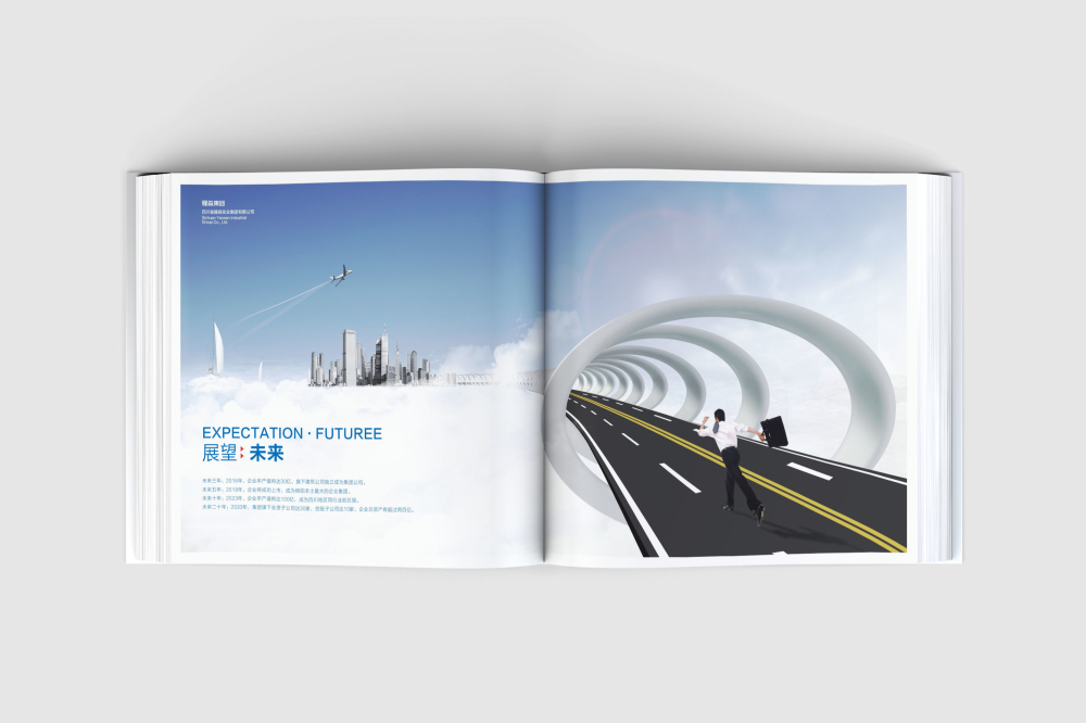 靖西县画册设计